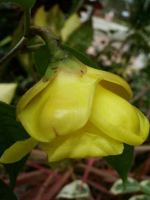 e0025300_13594487.jpg