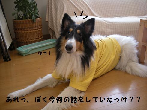 f0081100_10361038.jpg