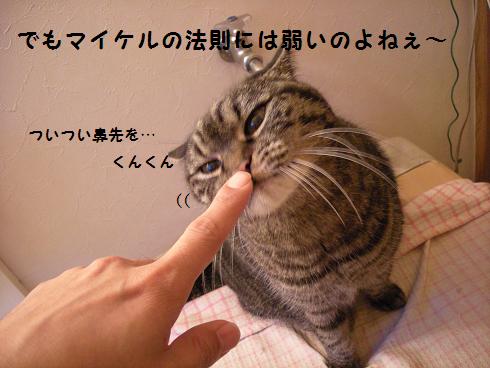 f0081100_1126434.jpg