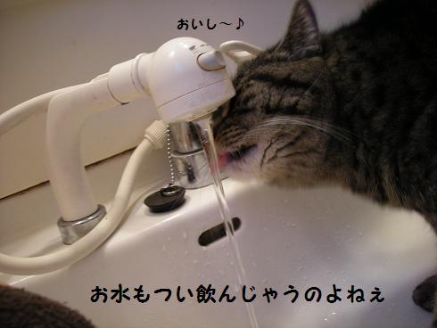 f0081100_1132149.jpg