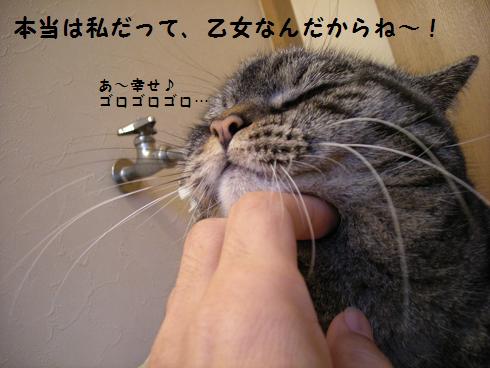 f0081100_1134551.jpg
