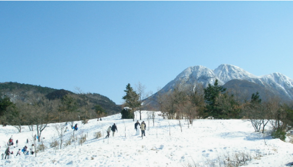 c0036203_21481594.jpg