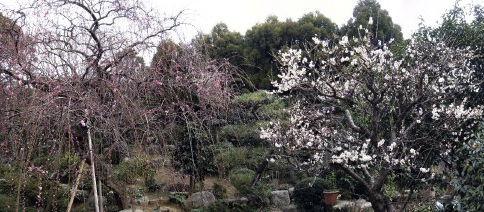 b0013005_1624514.jpg