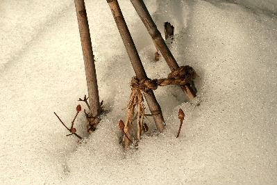 f0041606_2012479.jpg