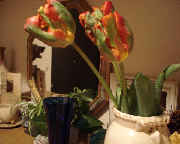 f0084806_1014993.jpg