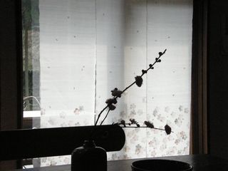 b0061107_021261.jpg