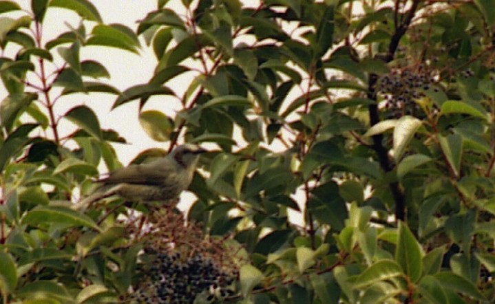 d0071507_17334315.jpg