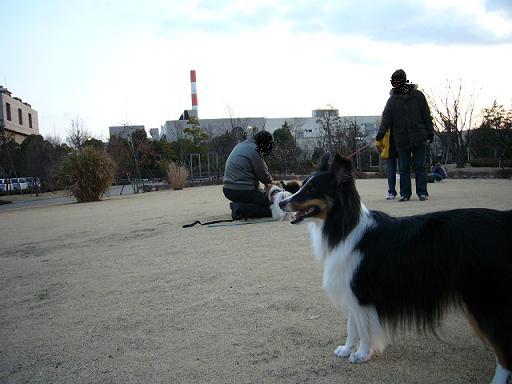 e0130008_21432824.jpg
