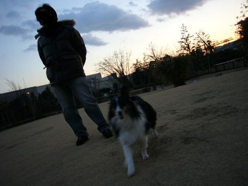 e0130008_21434254.jpg