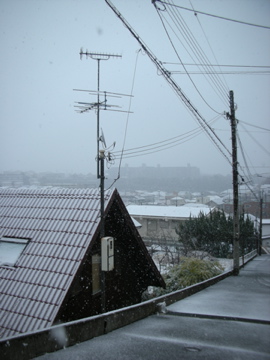 c0145209_23581668.jpg