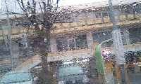 c0004211_2471977.jpg