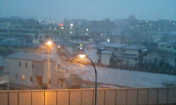 c0004211_332757.jpg