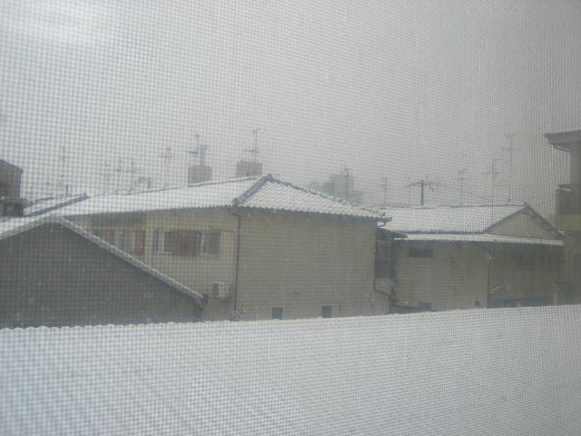 e0129411_14204938.jpg