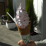 f0108112_1957642.jpg