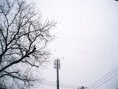 c0029913_19553712.jpg