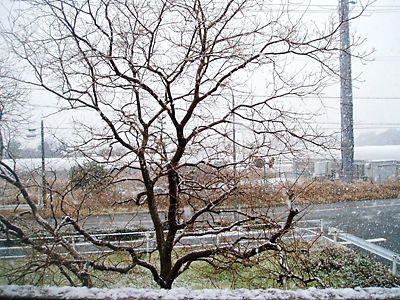 c0029913_19571296.jpg