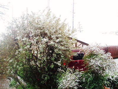 c0029913_19575266.jpg