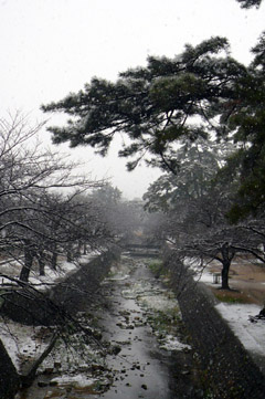 e0083517_9583573.jpg