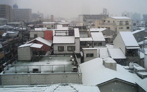 a0098418_127074.jpg