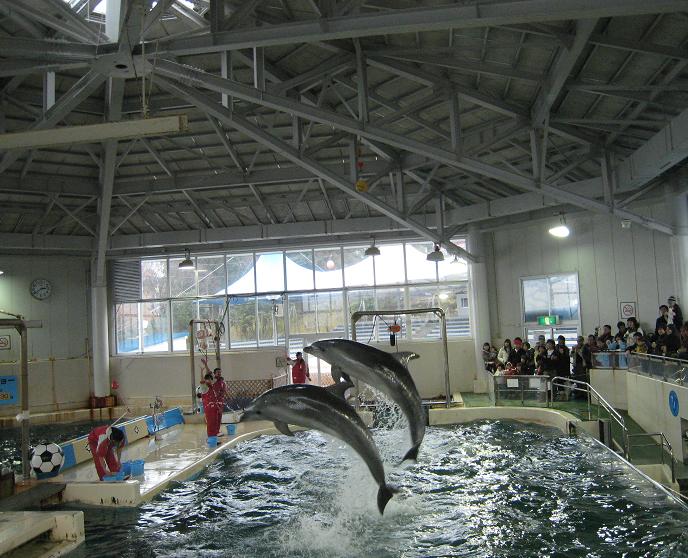 f0063920_12435522.jpg