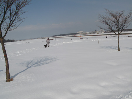 d0004426_1559031.jpg