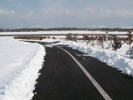 d0004426_162969.jpg