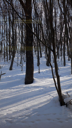 a0046429_11154941.jpg