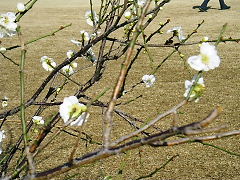 c0143330_1637652.jpg