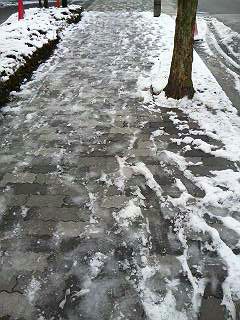 f0131934_20461987.jpg