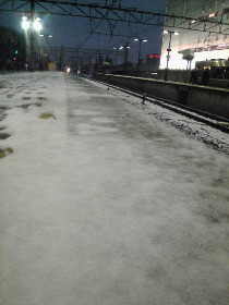 b0093839_1503395.jpg
