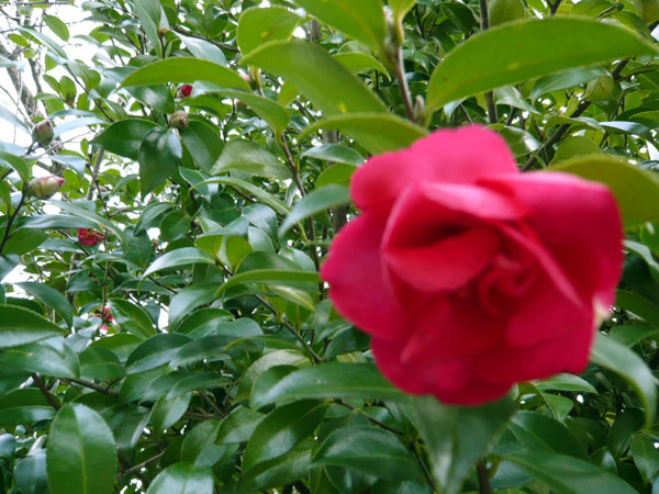 c0131544_0263235.jpg