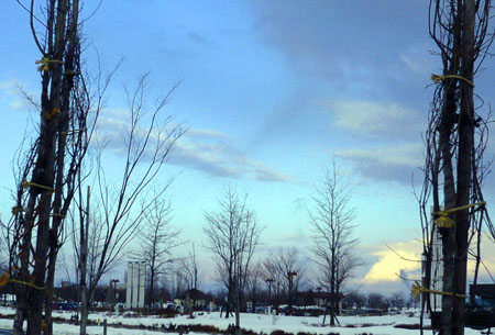 c0131544_20441786.jpg