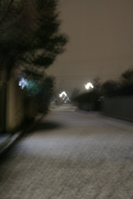 e0046147_20331639.jpg