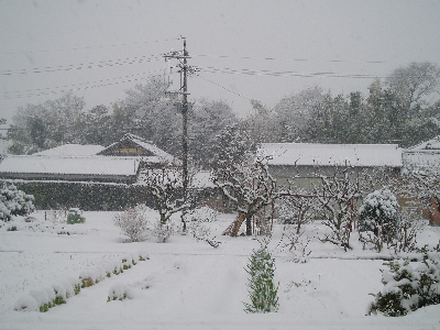 f0084747_23264643.jpg
