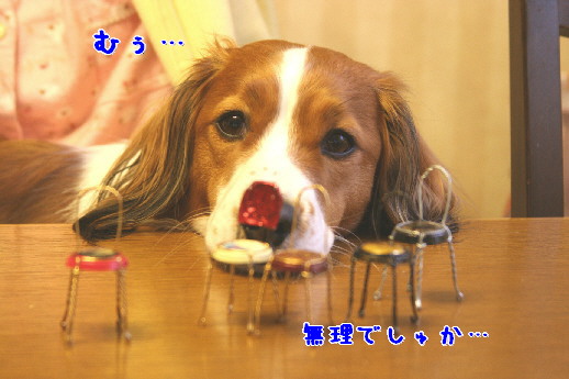 d0013149_01231.jpg