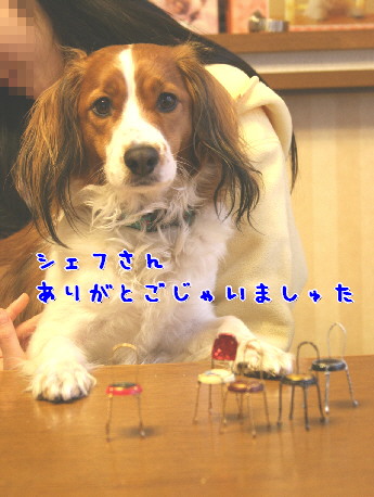d0013149_0143639.jpg