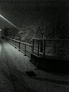 e0001852_16192534.jpg