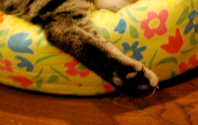 f0043859_154330.jpg