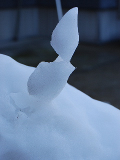 d0087062_145169.jpg