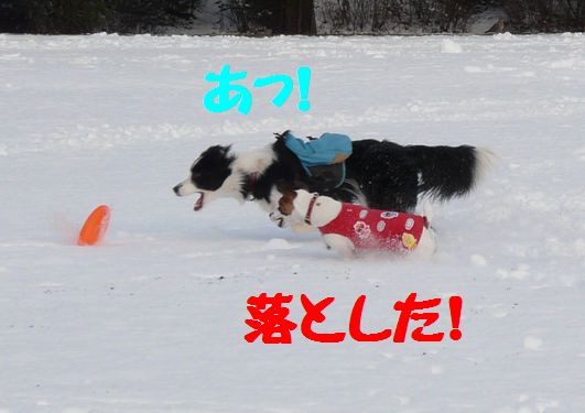 a0100564_10215180.jpg
