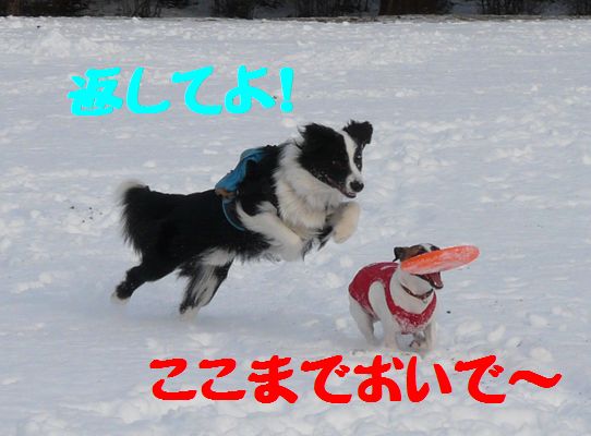a0100564_10223879.jpg