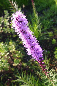 b0079965_19285750.jpg