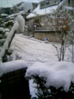 f0061067_22165693.jpg