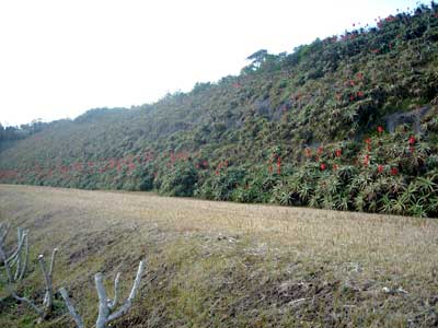 e0097770_22363817.jpg