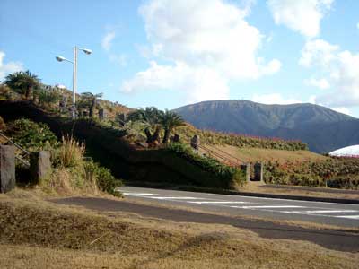 e0097770_2237337.jpg
