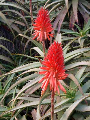 e0097770_2238167.jpg