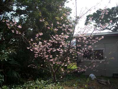 e0097770_22385248.jpg