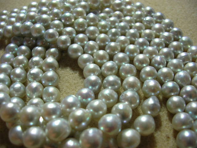 c0141279_13344250.jpg