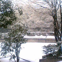 f0100480_18112178.jpg