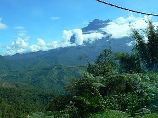 b0042882_1157778.jpg